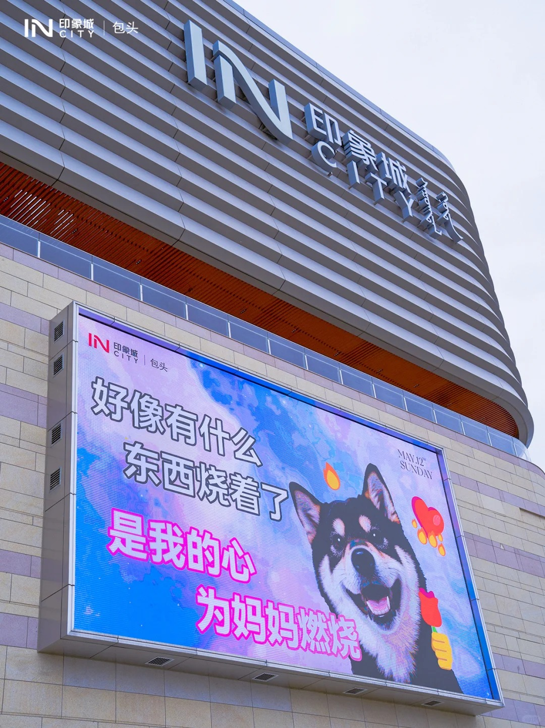 动态封面
