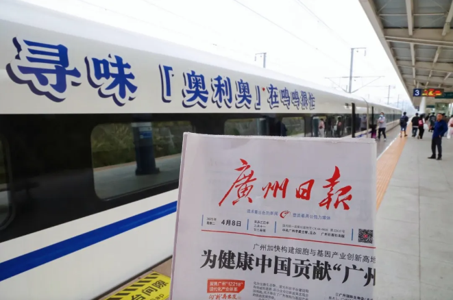 动态封面