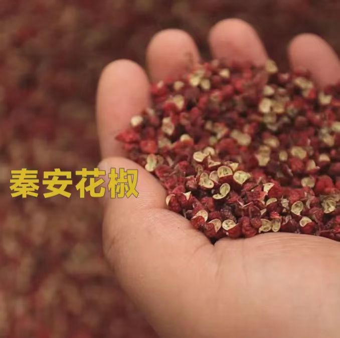动态封面