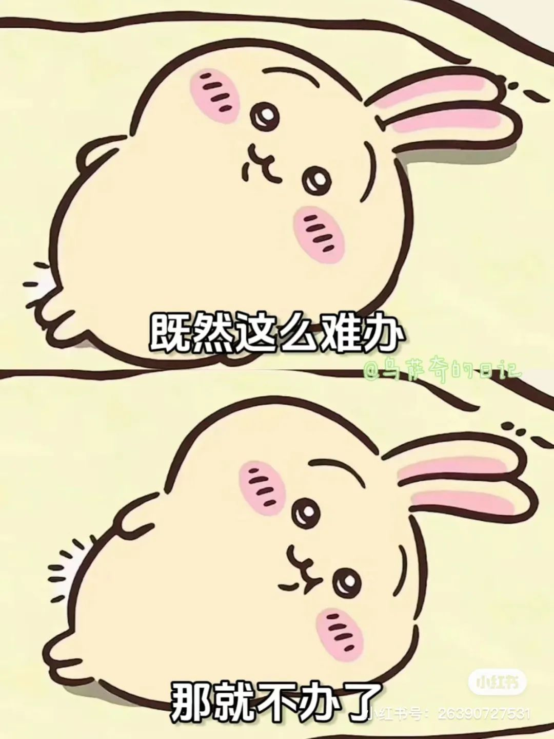 动态封面