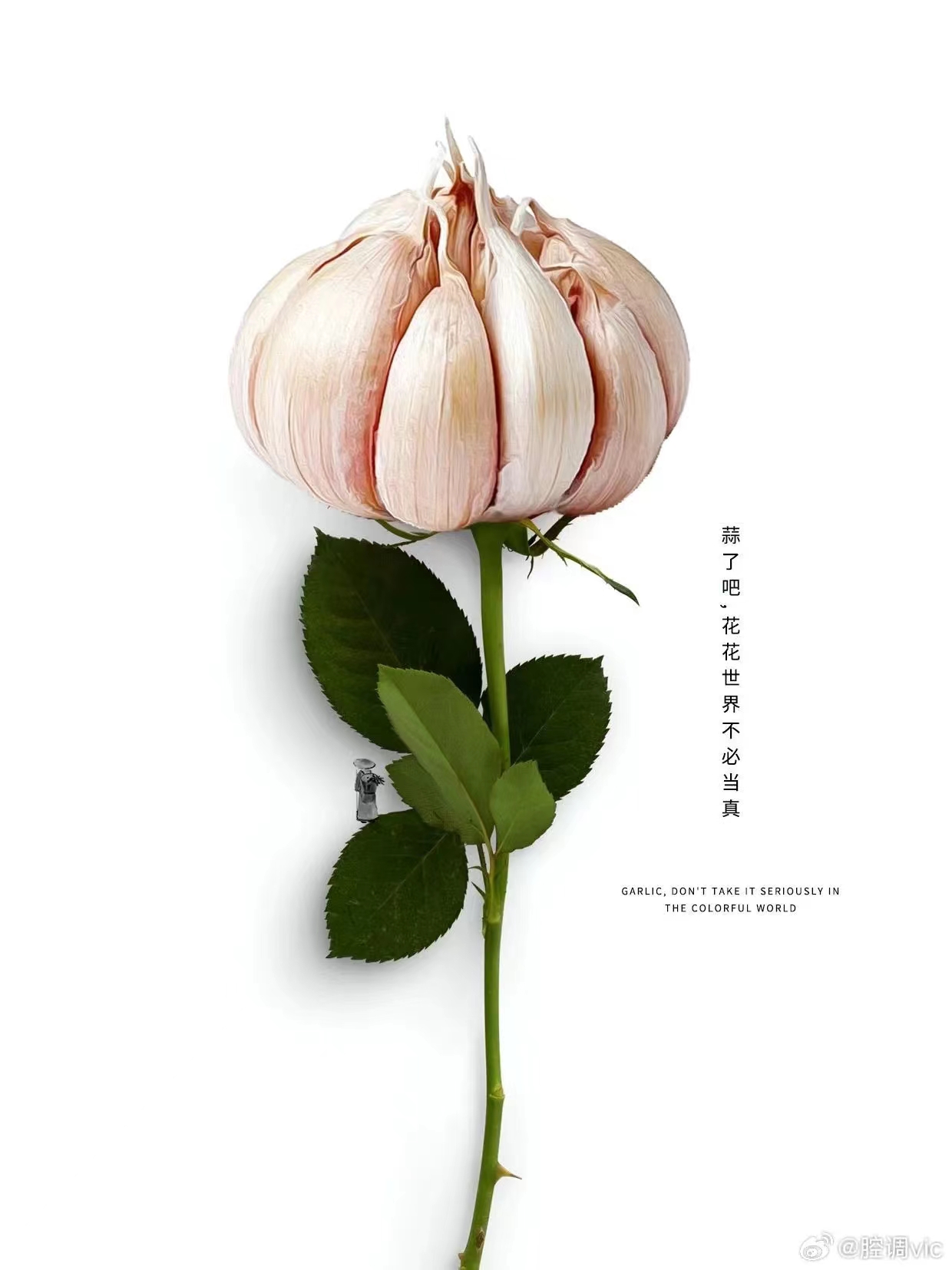 动态封面