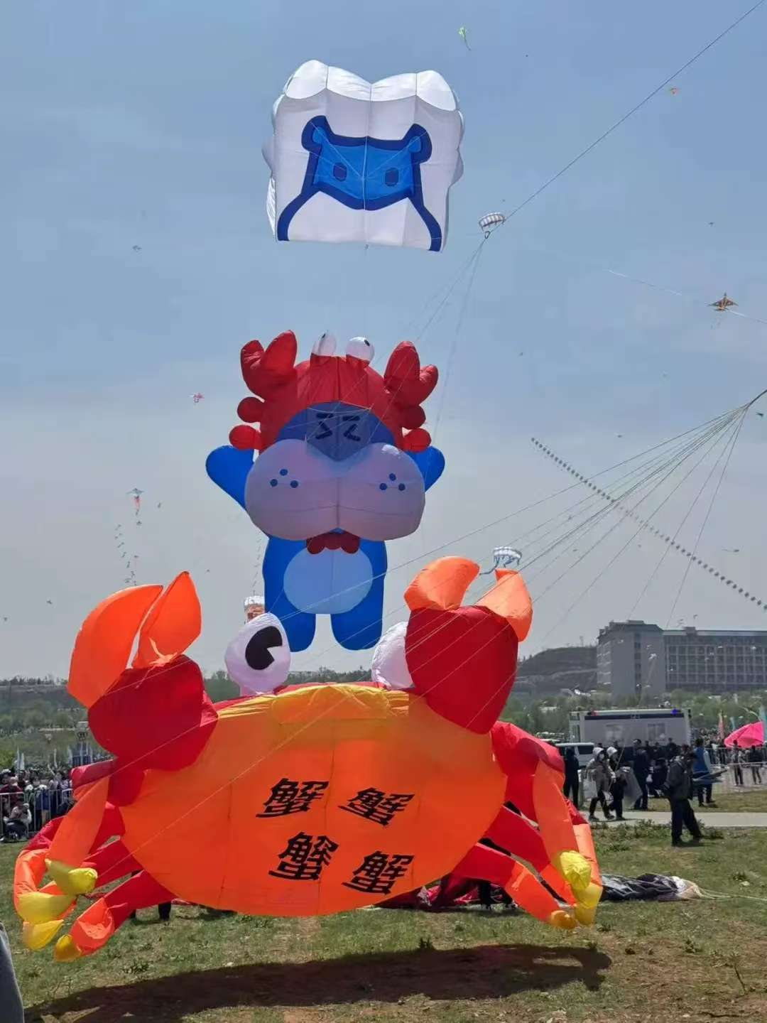 动态封面