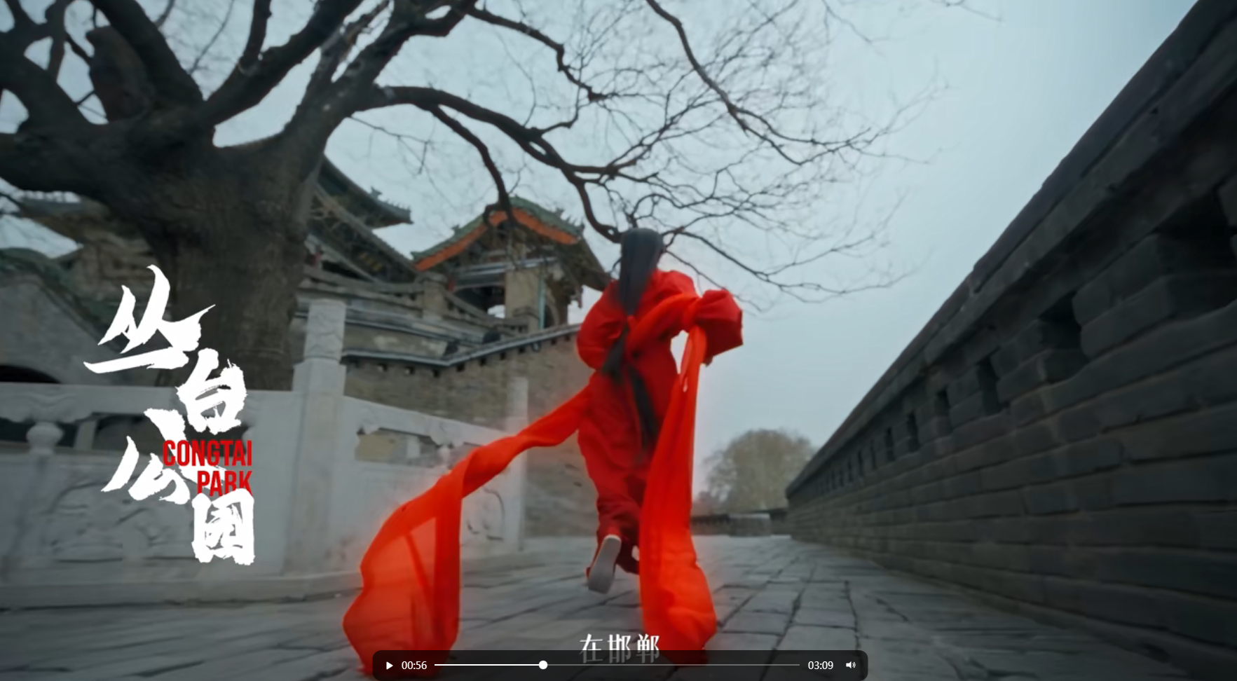 动态封面