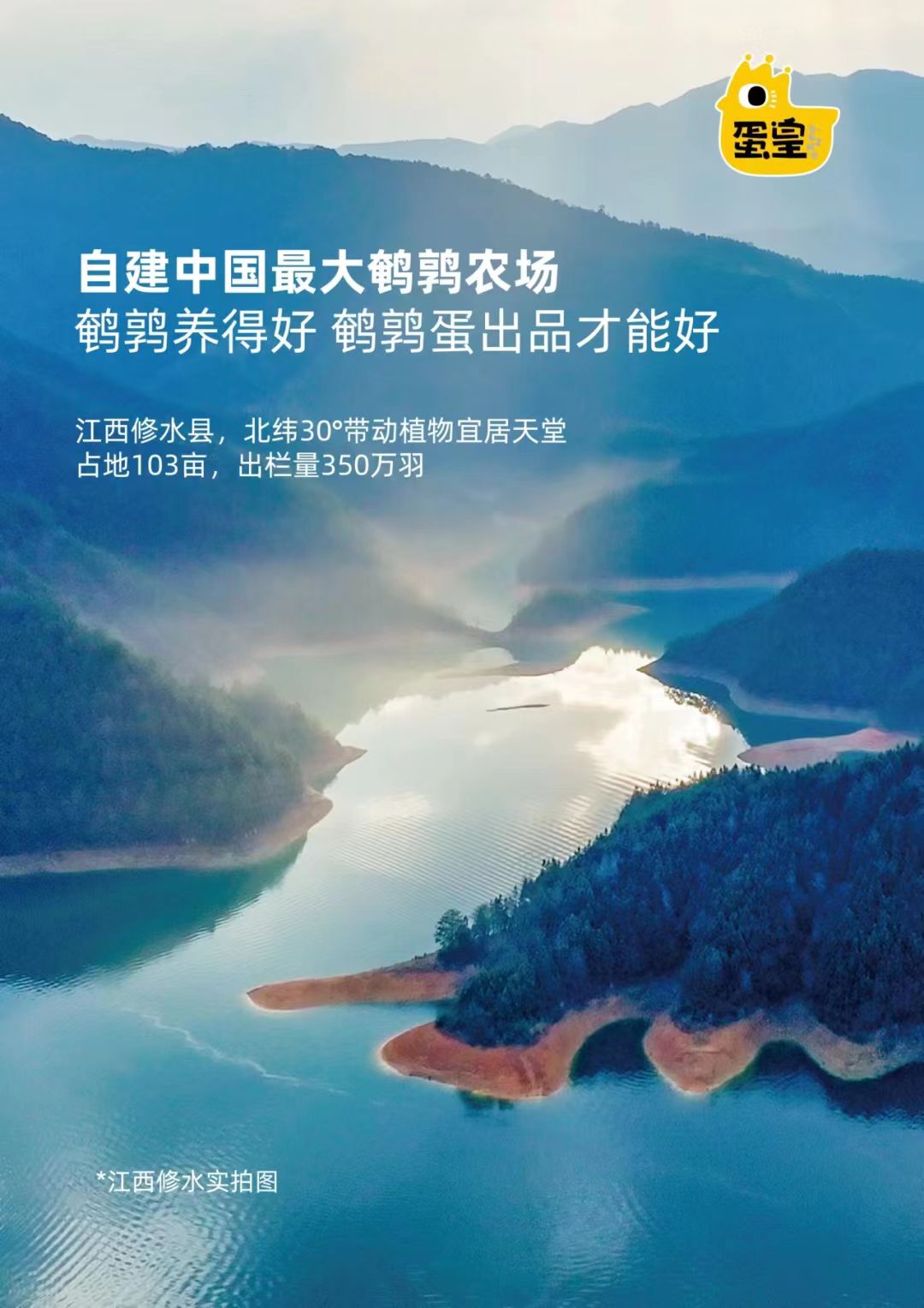 动态封面