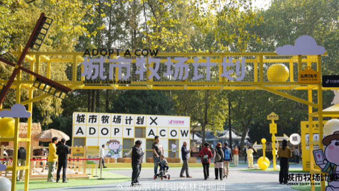 动态封面